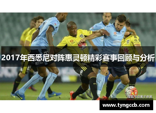 2017年西悉尼对阵惠灵顿精彩赛事回顾与分析